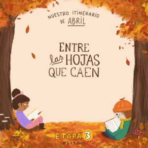 Etapa 3