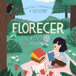 Etapa 1